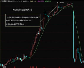 请问股票如何做长线 请问股票如何做长线