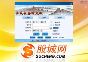 证券是怎么登的