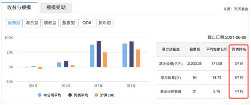 如何找股票型基金公司