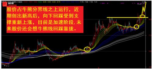 如何选出超级龙头股票 如何选出超级龙头股票