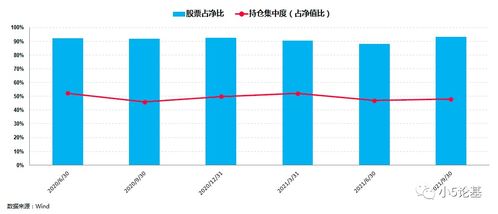 如何看持有股票的份额