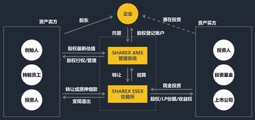 如何挑选区块链平台股票