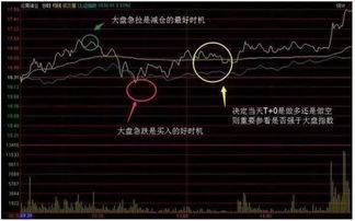 抛售股票如何确定价格呢
