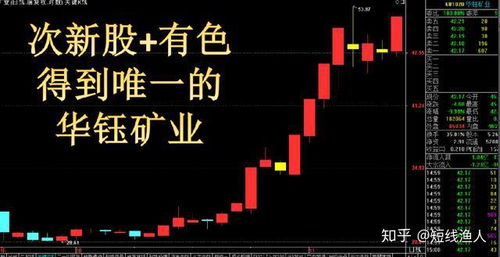 如何选股机构股票