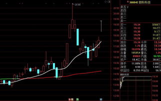 如何辨认创业板股票