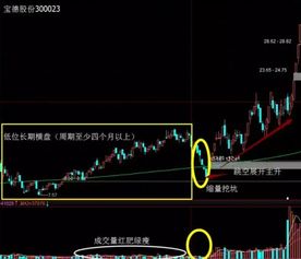 散户如何选择股票