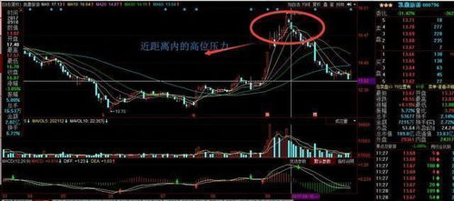 分红后如何在股票中打新
