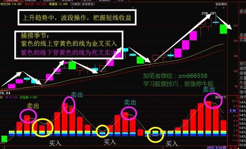 3万现金如何投资股票