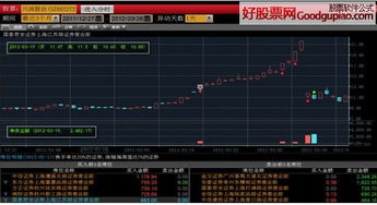 大智慧如何统计股票 大智慧如何统计股票