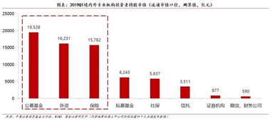 证券资产全景怎么查