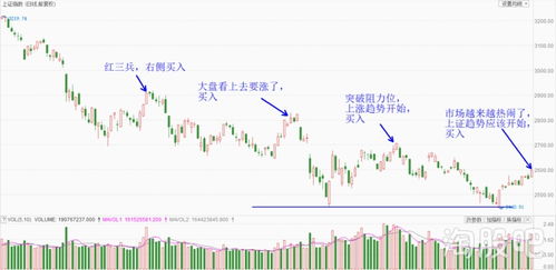 如何入住海豚股票交易所