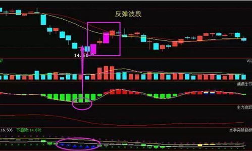 股票急速下跌如何卖股票