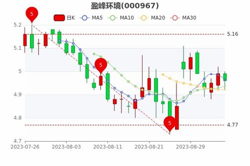 如何查询股票状态 如何查询股票状态