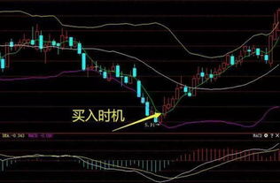 如何伏击股票龙头股