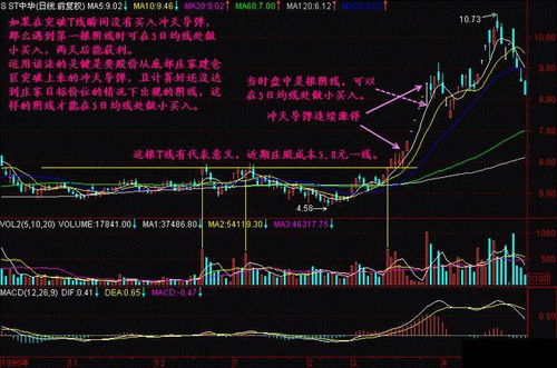 股票大户如何操作