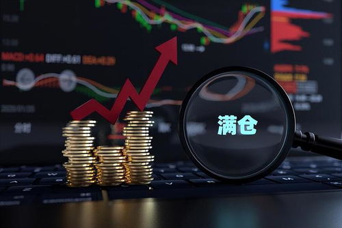 股票群如何 股票群如何