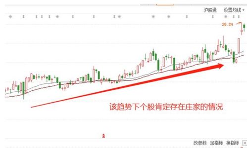 如何辨别股票是否中签