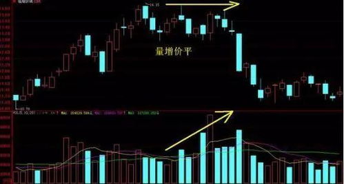 如何看一只股票的价值