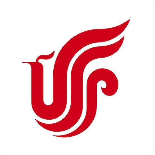 东方国际财富证券怎么样