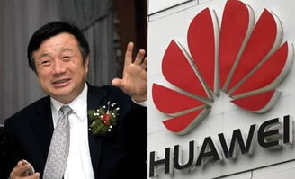 任正非证券行业怎么样
