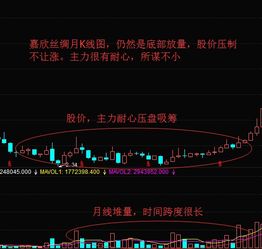如何选出一只好股票总结