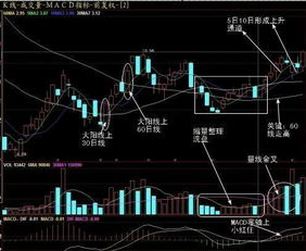 如何把握一只股票涨跌