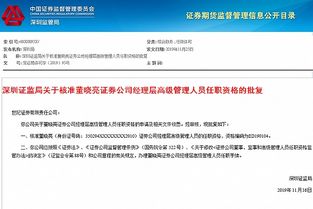 证券公司经理怎么做