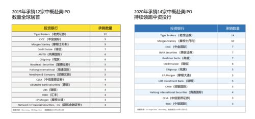 老虎证券怎么杨
