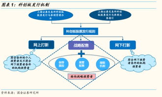 国内如何加入科创板股票