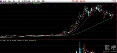 如何查看公司发行股票