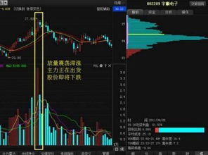 股票如何知道出货成功没