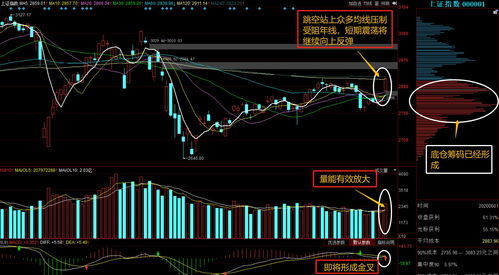 如何看公司股票行情走势