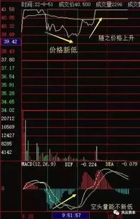 股票如何看分时指标买卖 股票如何看分时指标买卖