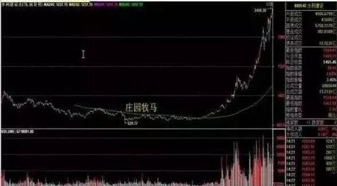 股票如何准确抄底