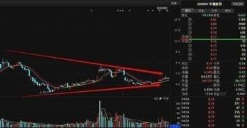 如何查看自己有没有股票 如何查看自己有没有股票