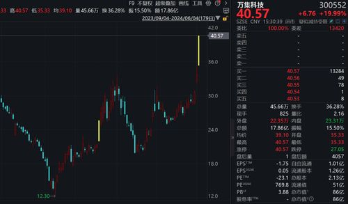 股票如何增加新概念股票