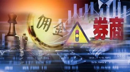 怎么在海豚证券开户