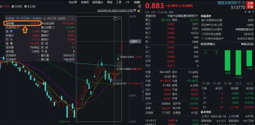 如何看股票的领头股票