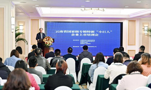 怎么入股北京证券