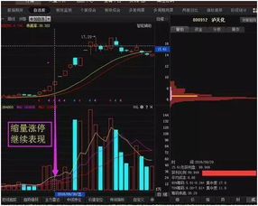 股票量价如何交易