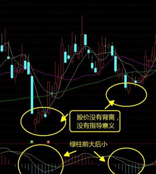 如何买指数炒股股票