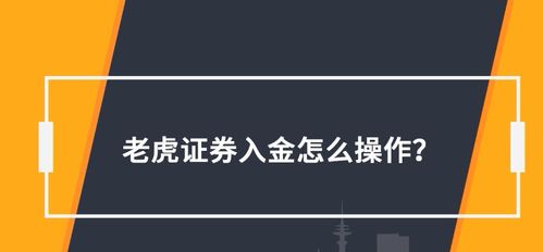 老虎证券怎么存钱