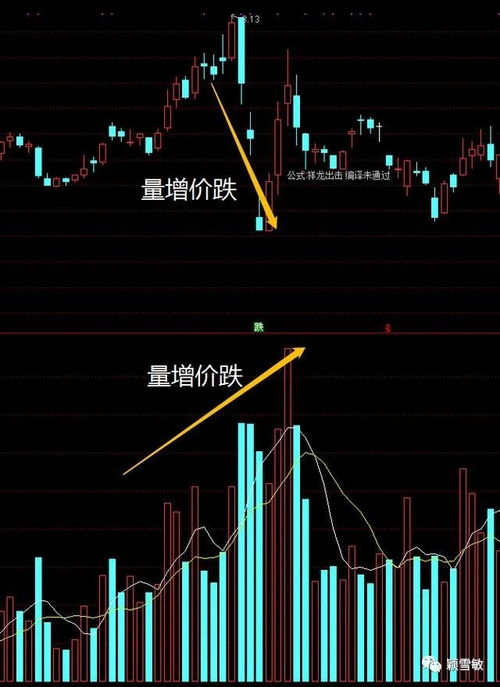 如何区分股票的行情