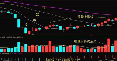 如何区分股票的行情趋势