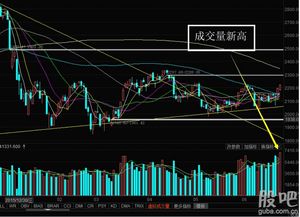 如何挖掘新高股票