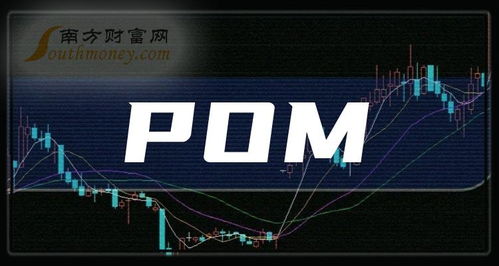聚赛龙股票如何