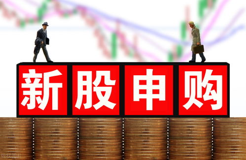 如何认购新股票