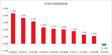 如何总结一只股票型基金