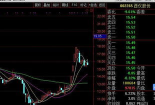 证券怎么找新股