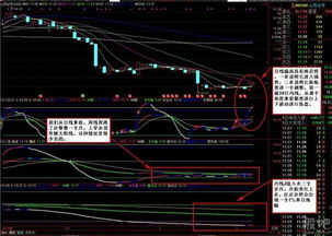 山西证券信誉怎么样啊